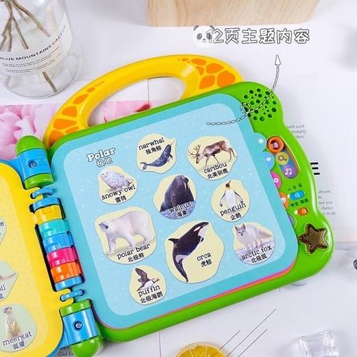 伟易达英语100词/动物100词 商品图8