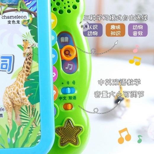 伟易达英语100词/动物100词 商品图7