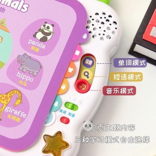 伟易达英语100词/动物100词 商品图3